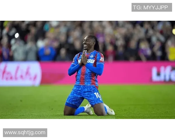 博埃,未来存疑,水晶宫难付拜仁转会费 博埃,未来存疑,水晶宫难付拜仁转会费